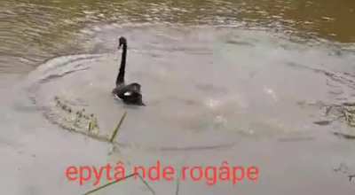 Epytâ nde rogápe/ Quédate en casa