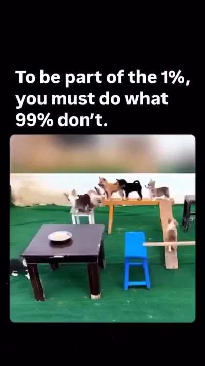Lots of good bois!