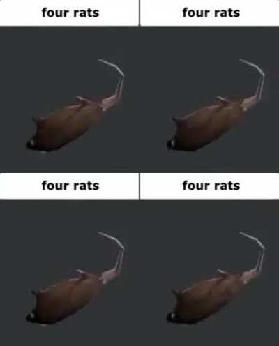 rats
