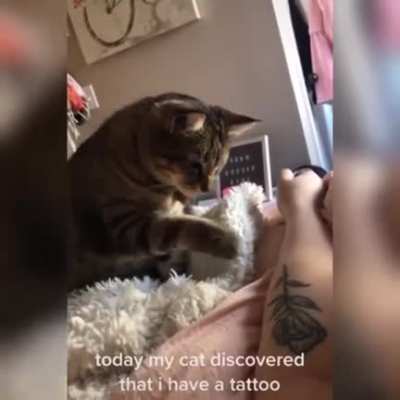 Touch tha tattoo