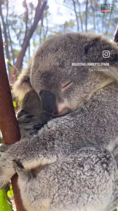 Awwww