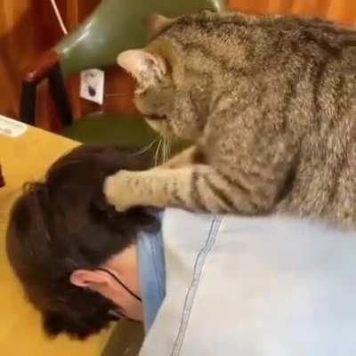 Human biscuits