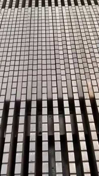Imagine crossing this