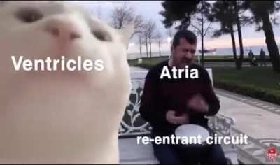 Atrial flutter