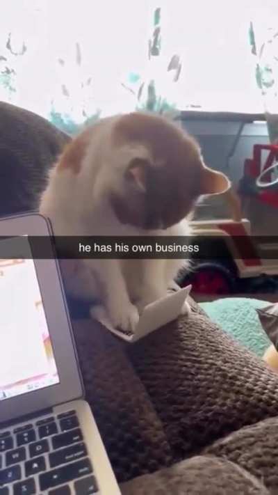 busy busy