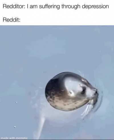Wholesome 100