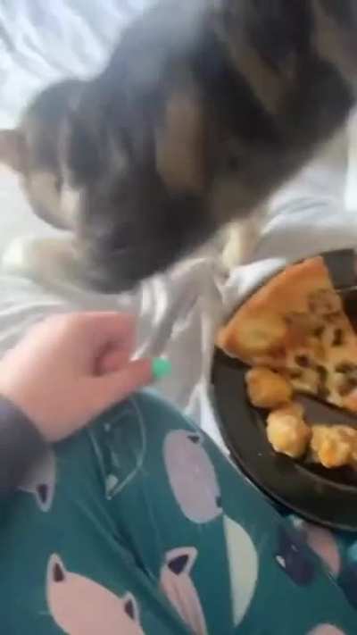 "You're eating crap Carol."