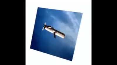 the thug missile