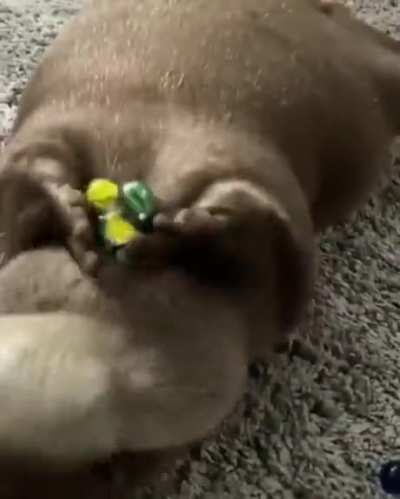 He's so happy