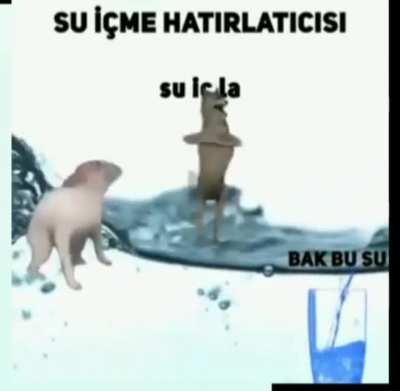 bak bu su