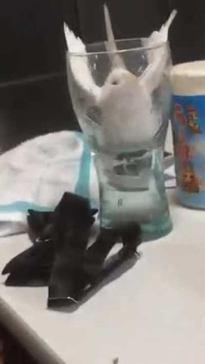 Going for a sip
