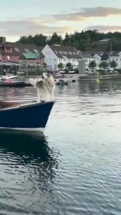 The best boat horn!