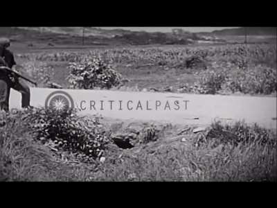 Compilation of the Pacific War(NSFL)