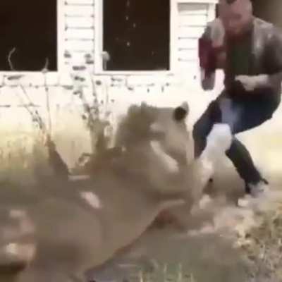 Completely harmless