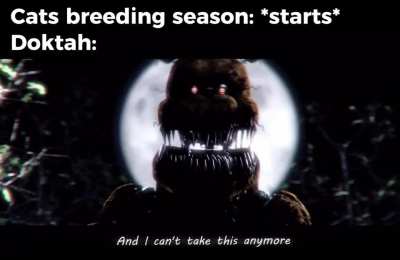 He&acirc;s more scared of child support than horny