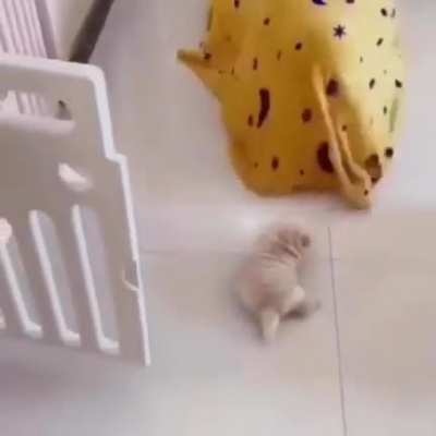 dIsGuStINg aLiEn bLOb deVOurS iNnoCEnT puPpiEs aNd tHEIr MoTHer!!!