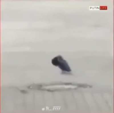 A R&uacute;ssia &eacute; uma ditadura fascsita? Putin se comunica com os animais?