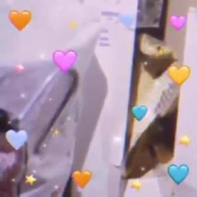 love at first sight 💞
