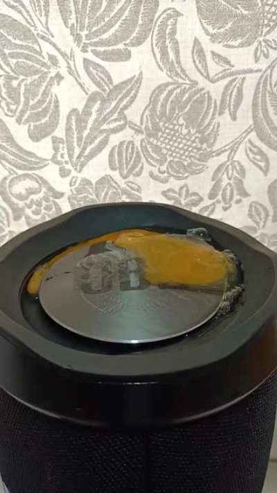 egg went wild