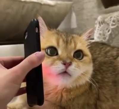 Listening to those drunk voice messages you&rsquo;ve sent last night