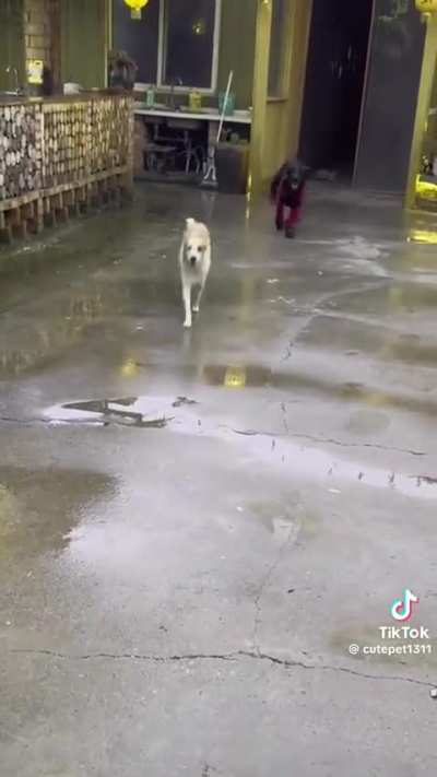 ?