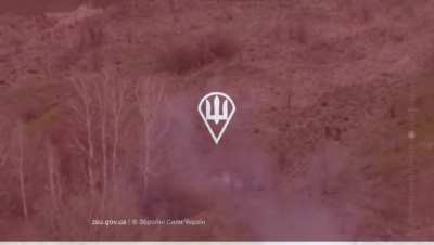 Russian Assault Group Hits Ukrainian Minefield (Kursk, 2025)