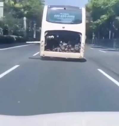 Bitch, I&rsquo;m a dancing bus