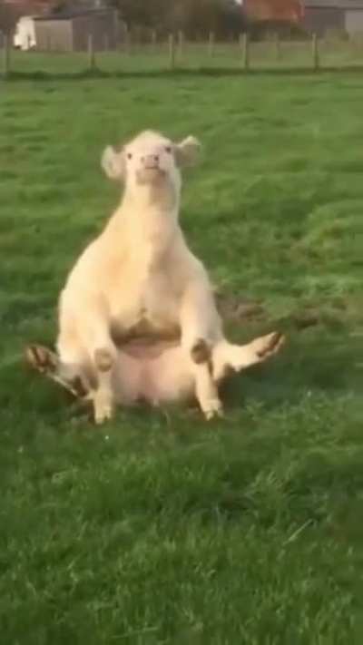 When you&rsquo;ve got a itch that needs scratching &amp;amp; you got to find a way 😂