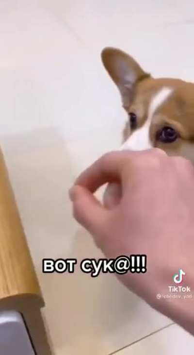 Обманщик