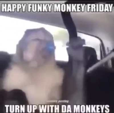 Monke🐒