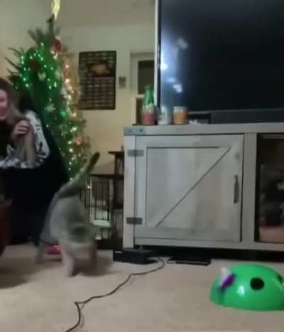 Sneak attack