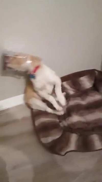 Wait for it