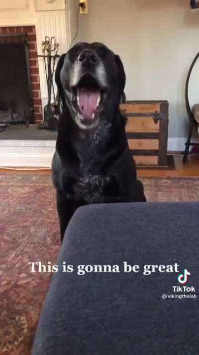 AAAAAAA