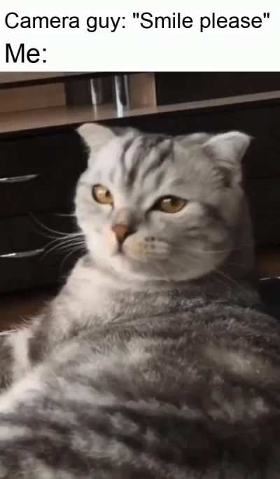 so photogenic