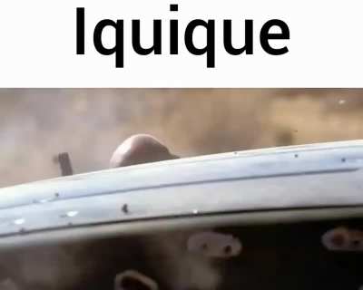 Xd