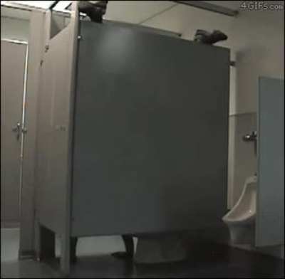 Thanks, I hate backward acrobatic pooping