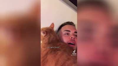 Ребят я научил кота смеяться