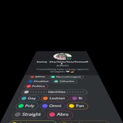 The most sane discord user