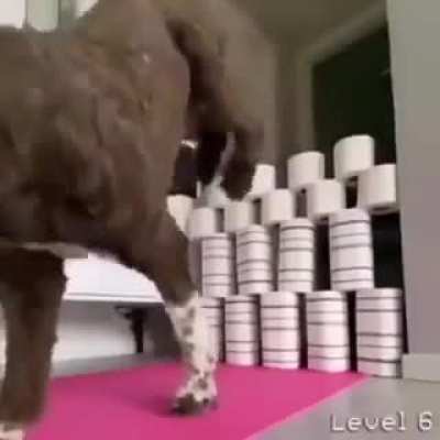 Jump!