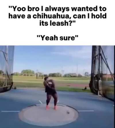 I fucking hate the little fuckers