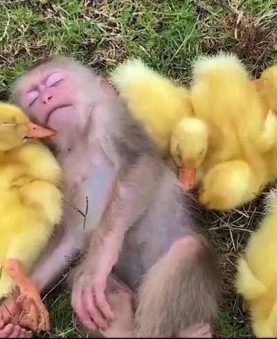 Chillin&rsquo;