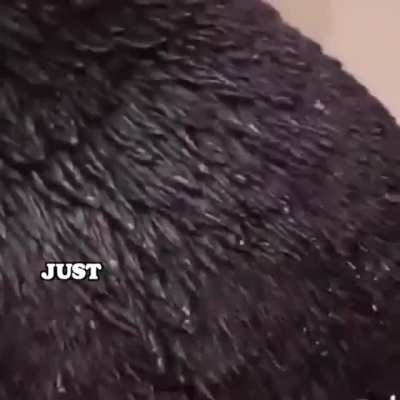 me_irl