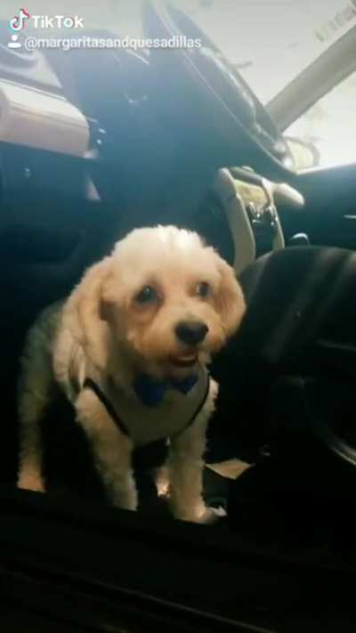 Wanna go for a ride?