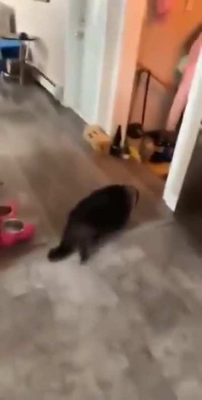 Skrrrt