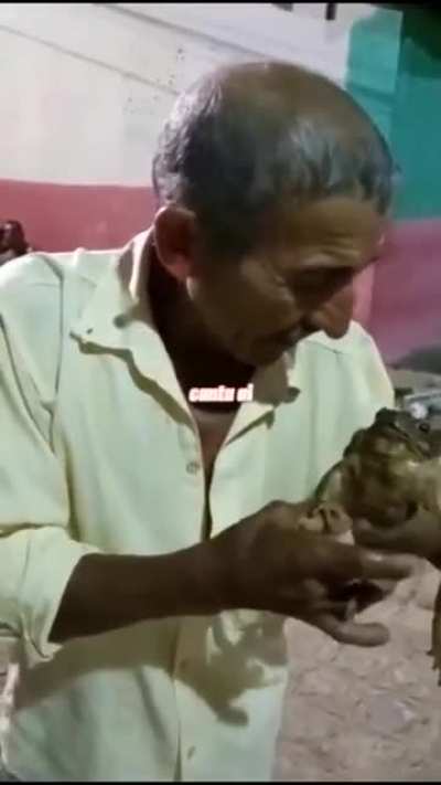 ele ta gravido
