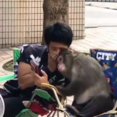 Monkey&rsquo;s got some gossip