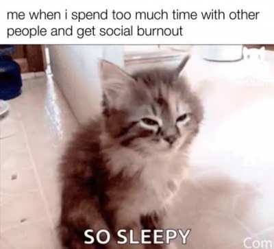 Meow meow