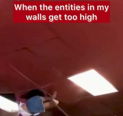I TOLD THEM NOT TO GO UP THERE