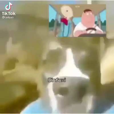 🐊🎁🎁🎁🍍🍍🍍🍍🍍🥑🥑