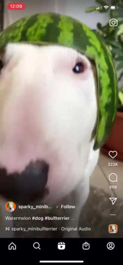 what he saying?